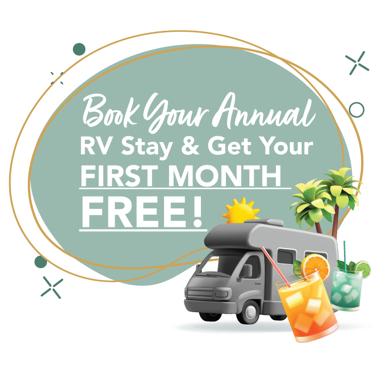 DS RV Promo Callout 2 2